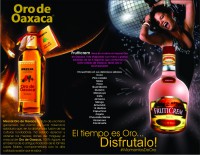 /album/fotogaleria/triptico-oro-de-oaxaca-interiores-jpg/